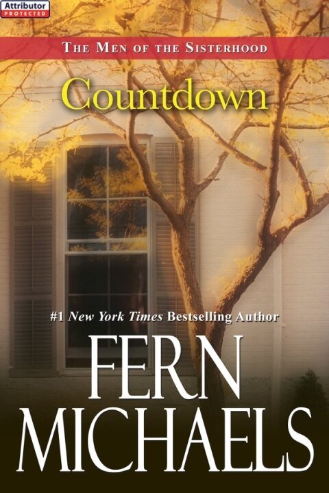Cover image for book Countdown