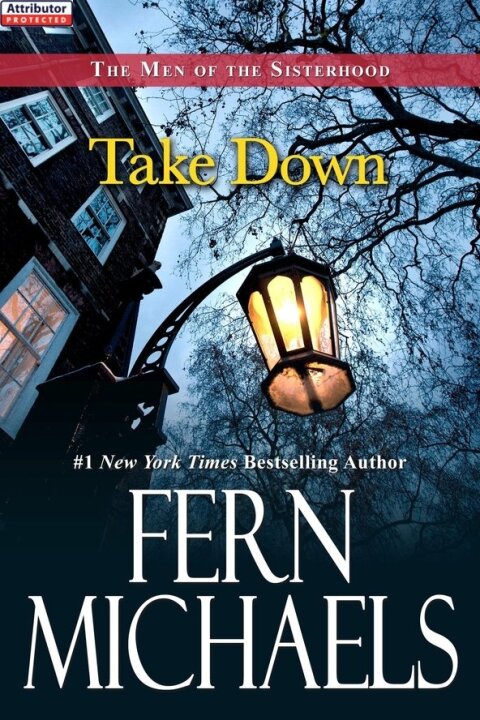 Cover image for book Take Down