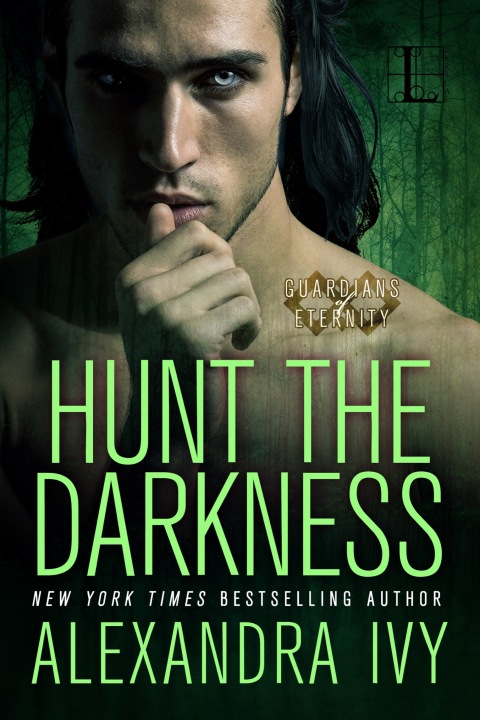 Cover image for book Hunt the Darkness