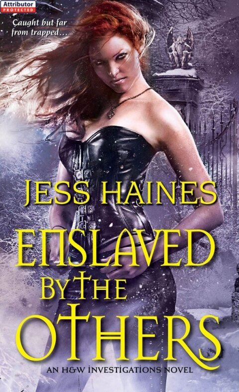 Cover image for book Enslaved By the Others