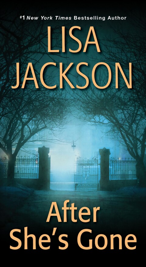 Cover image for book After She's Gone