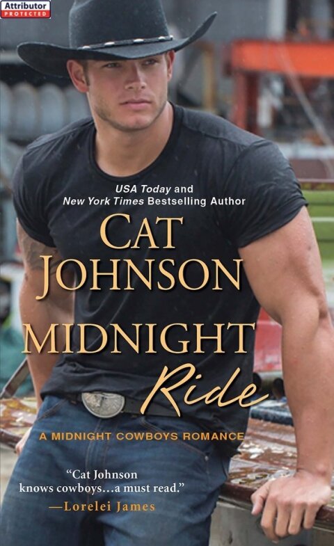 Cover image for book Midnight Ride