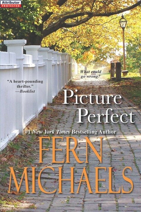 Cover image for book Picture Perfect