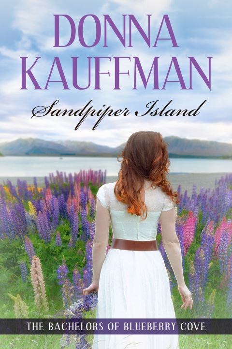 Cover image for book Sandpiper Island
