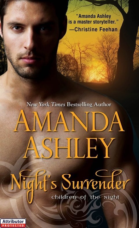 Cover image for book Night's Surrender