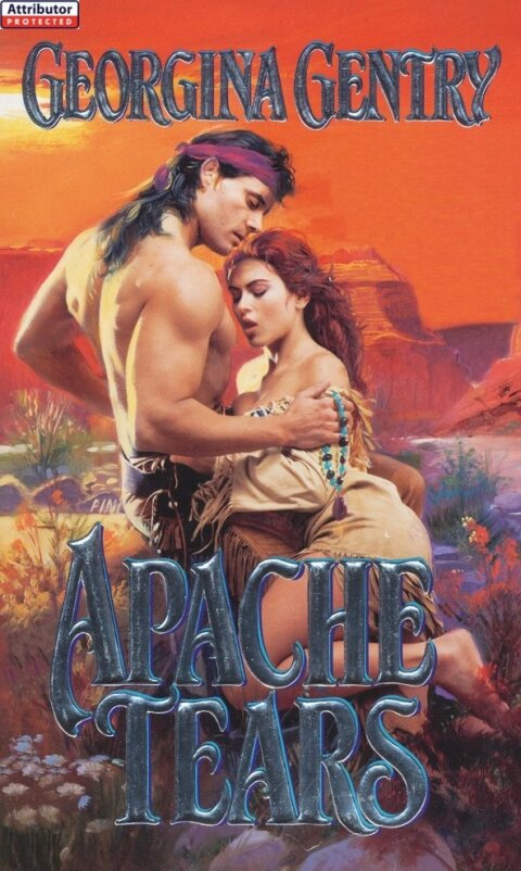 Cover image for book Apache Tears