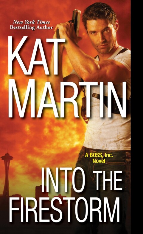 Cover image for book Into the Firestorm