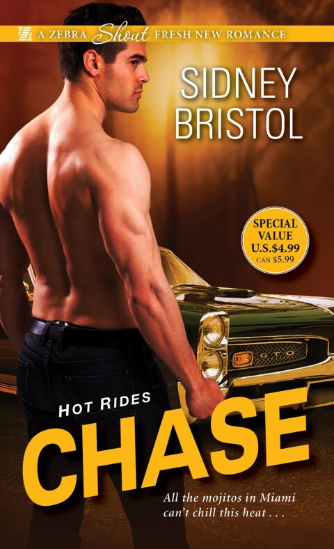 Cover image for book Chase