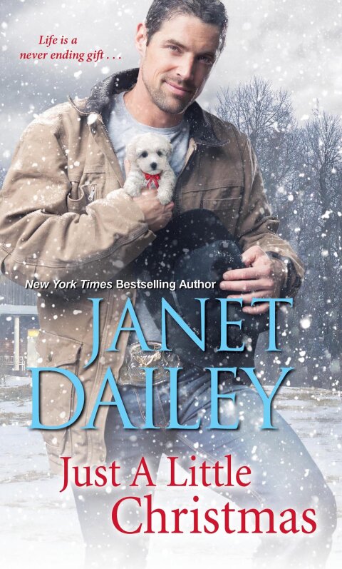 Cover image for book Just a Little Christmas