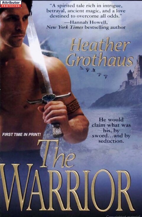 Cover image for book The Warrior