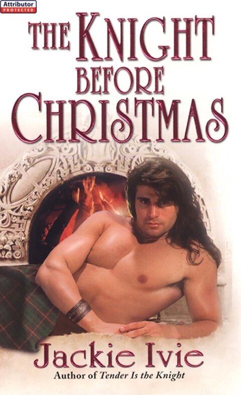 Cover image for book The Knight Before Christmas