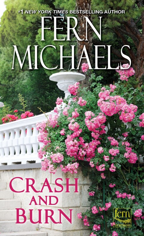 Cover image for book Crash and Burn