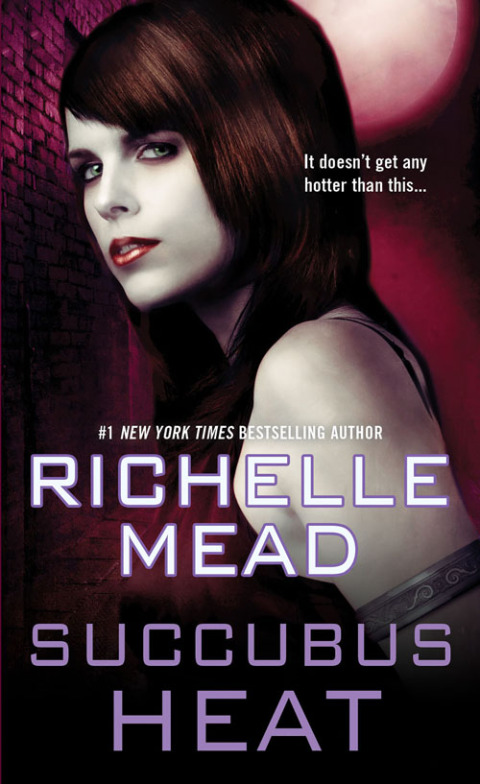 Cover image for book Succubus Heat
