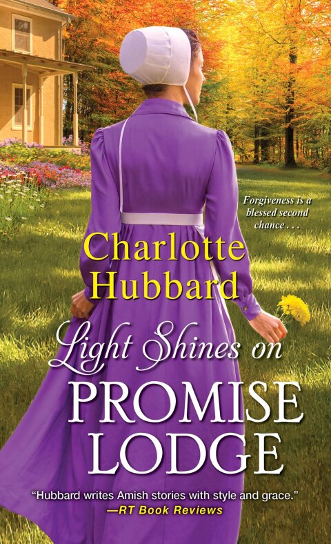Cover image for book Light Shines on Promise Lodge