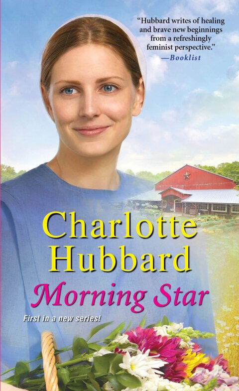 Cover image for book Morning Star