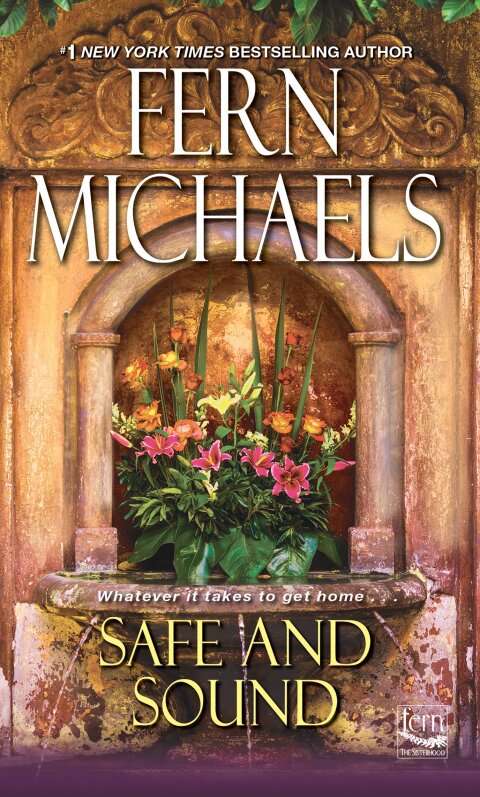 Cover image for book Safe and Sound