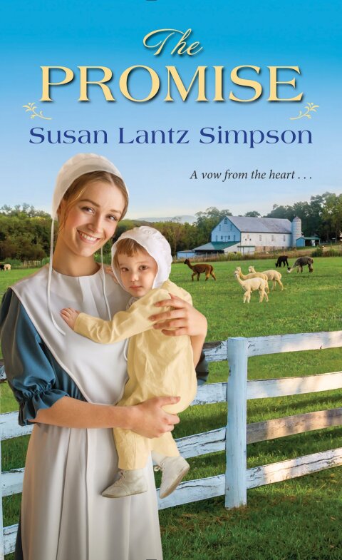 Cover image for book The Promise