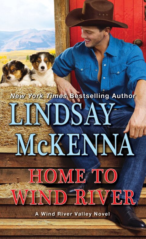 Cover image for book Home to Wind River