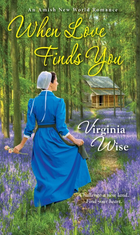 Cover image for book When Love Finds You