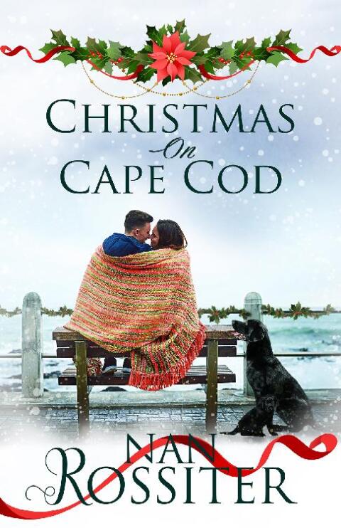 Cover image for book Christmas on Cape Cod