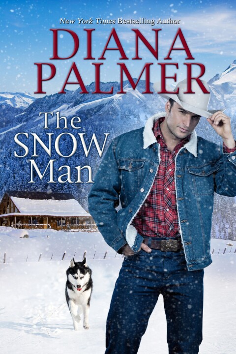 Cover image for book The Snow Man