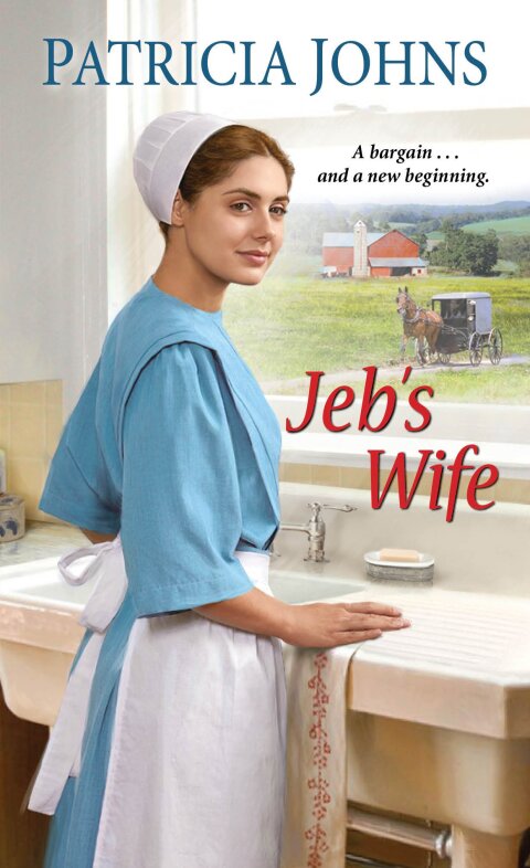 Cover image for book Jeb's Wife