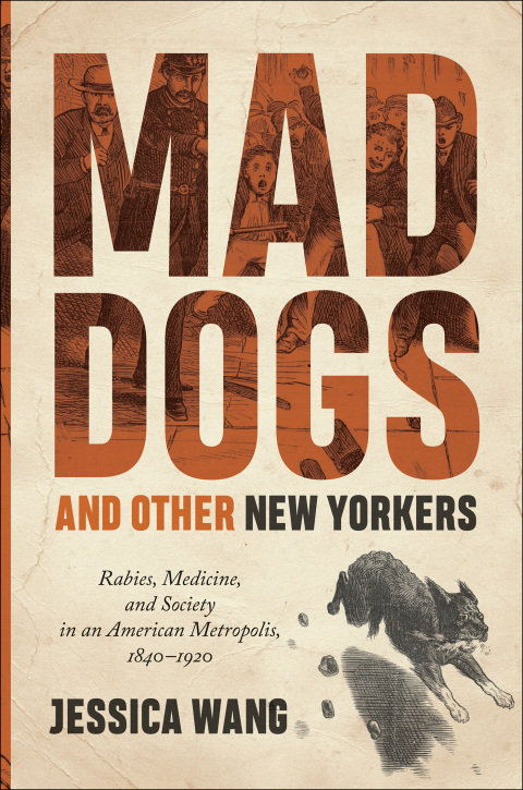 Cover image for book Mad Dogs and Other New Yorkers