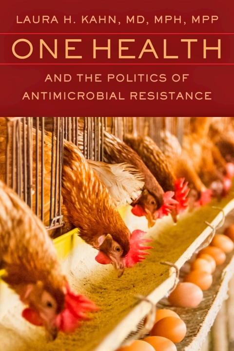 Cover image for book One Health and the Politics of Antimicrobial Resistance