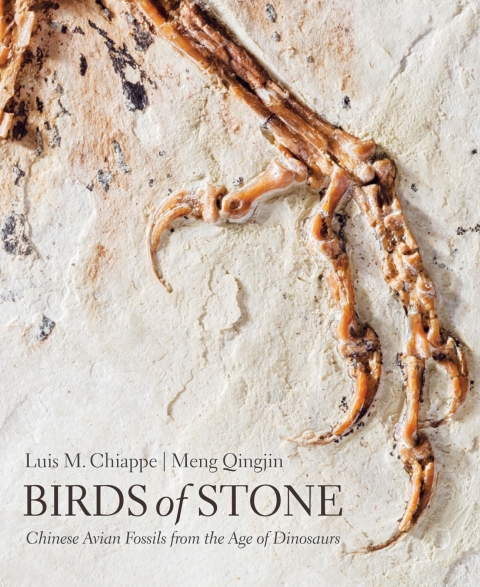 Cover image for book Birds of Stone