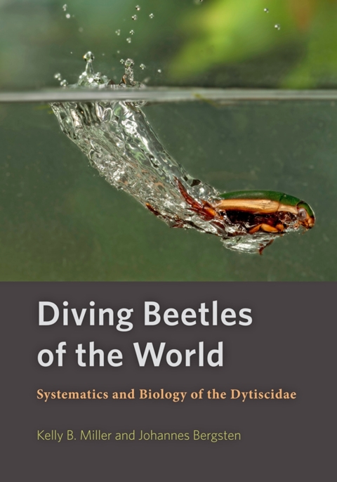 Cover image for book Diving Beetles of the World