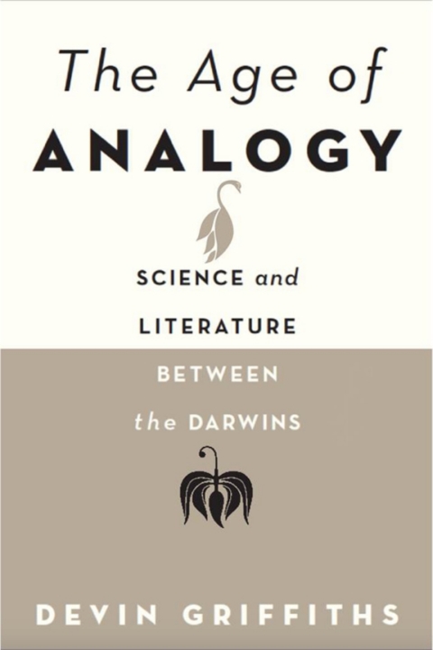 Cover image for book The Age of Analogy
