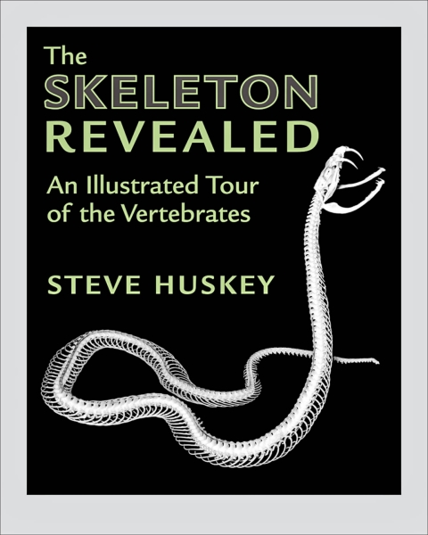 Cover image for book The Skeleton Revealed