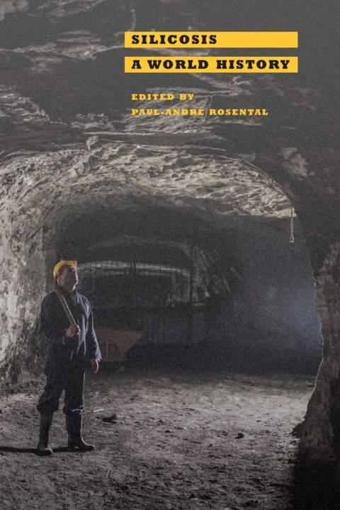 Cover image for book Silicosis