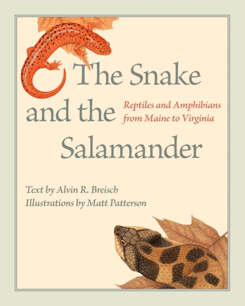Cover image for book The Snake and the Salamander