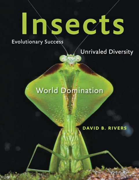 Cover image for book Insects