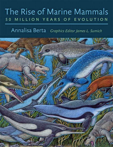 Cover image for book The Rise of Marine Mammals