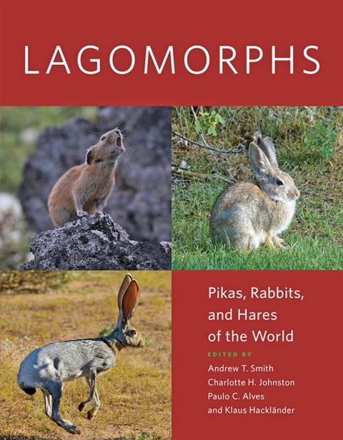 Cover image for book Lagomorphs