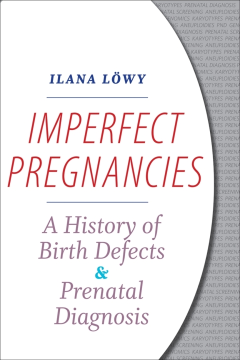 Cover image for book Imperfect Pregnancies