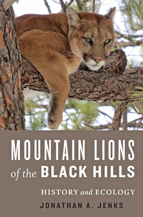 Cover image for book Mountain Lions of the Black Hills