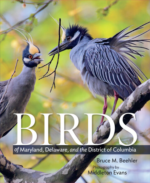 Cover image for book Birds of Maryland, Delaware, and the District of Columbia