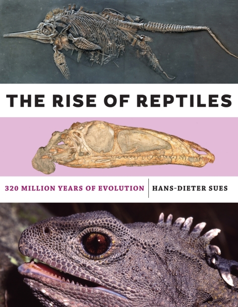 Cover image for book The Rise of Reptiles