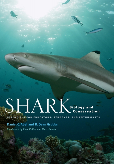 Cover image for book Shark Biology and Conservation