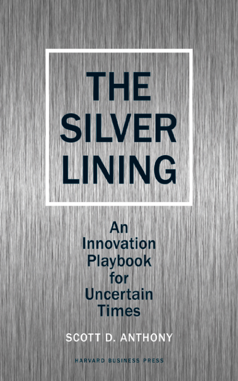Cover image for book Silver Lining