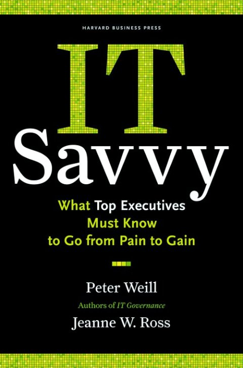 Cover image for book IT Savvy