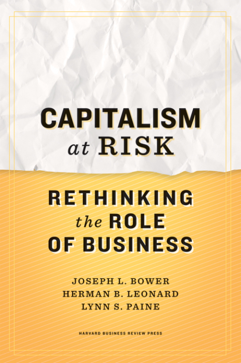 Cover image for book Capitalism at Risk