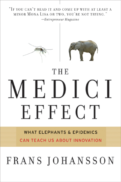 Cover image for book Medici Effect