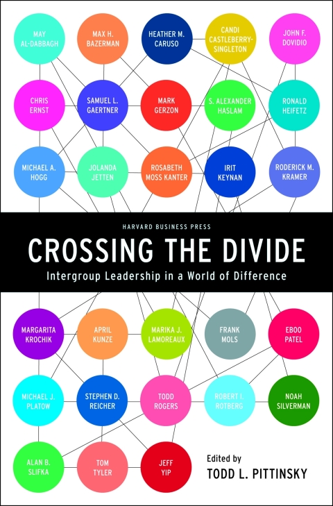 Cover image for book Crossing the Divide