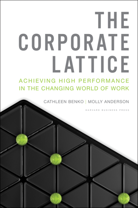 Cover image for book The Corporate Lattice