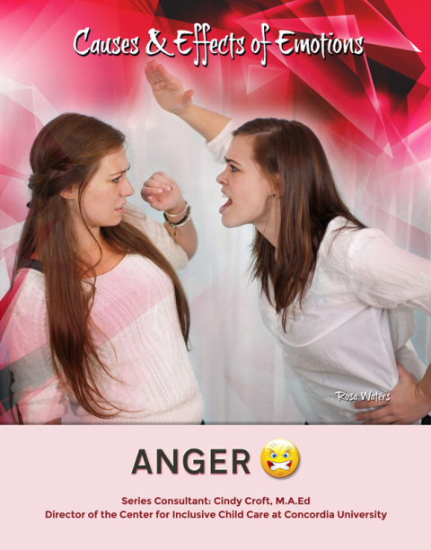 Cover image for book Anger