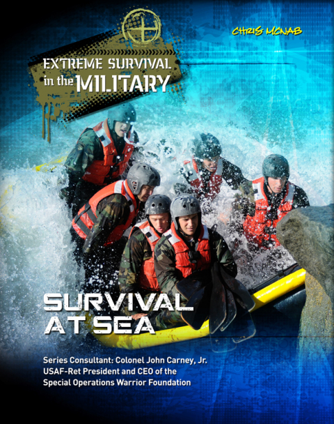 Cover image for book Survival at Sea